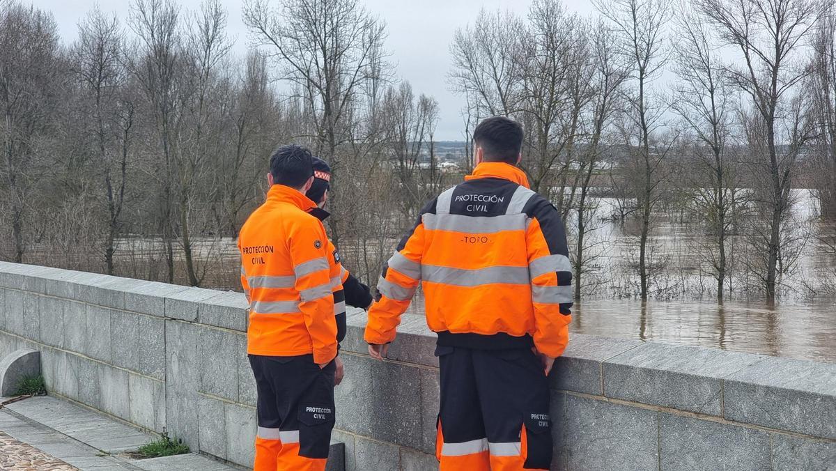 GALERÍA | La crecida del río Duero anega algunas zonas de Toro