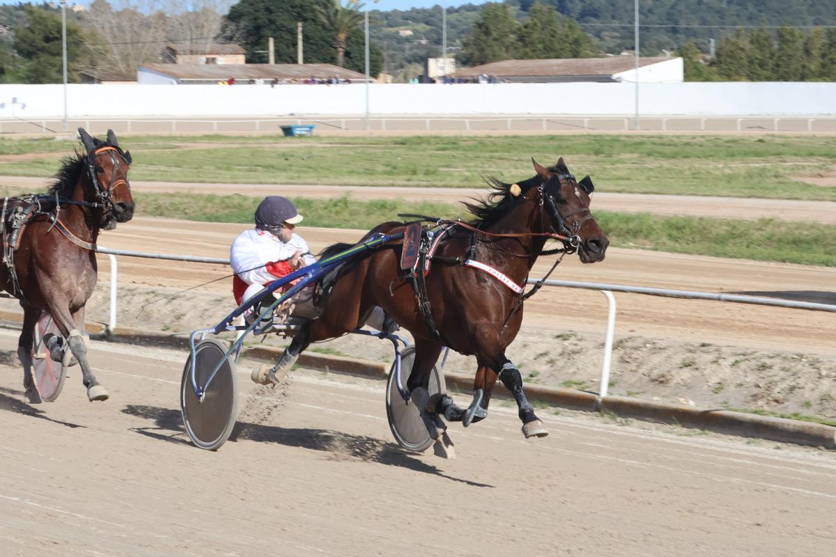 Goliat de Clide, con Tomeu Mascaró en su victoria de ayer en el ‘Premi Aniversari’.