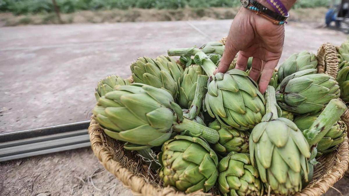 MENJARS DE LA TERRA 2026 MENJARS DE LA TERRA 2026