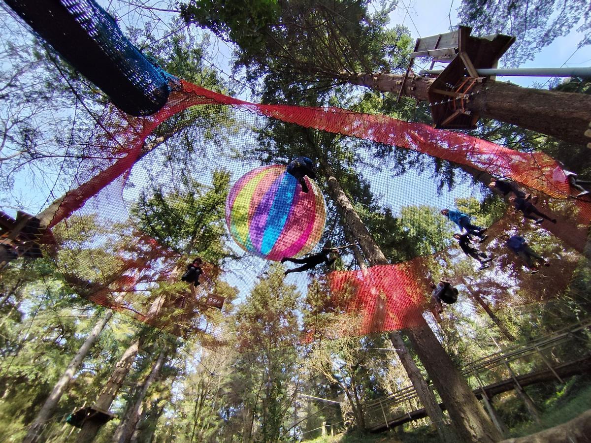 El Bosc elàstic de La Selva de l'Aventura