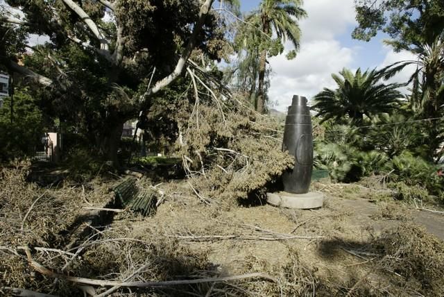 14 años del paso del Delta por Canarias