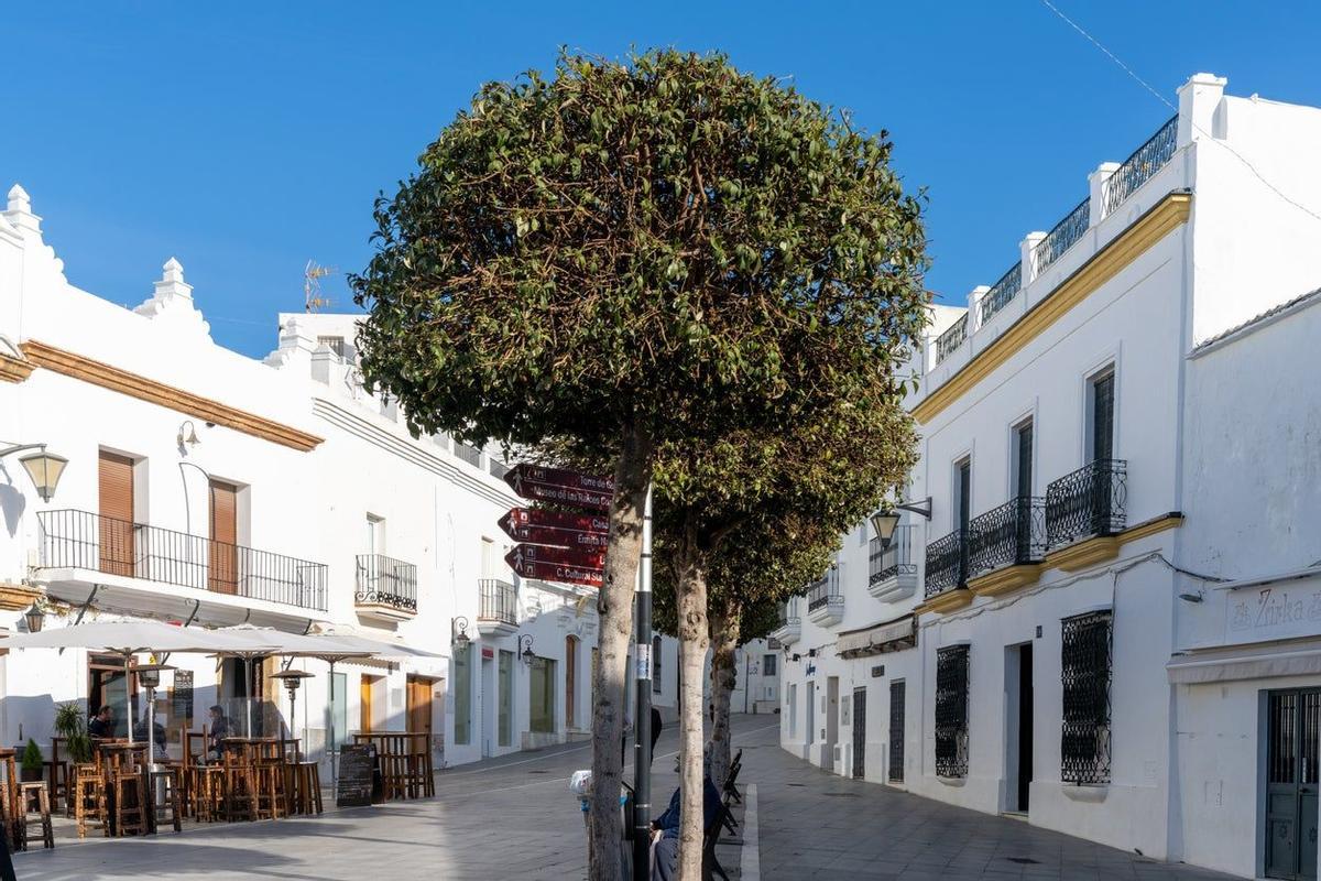 Plaza de Santa Catalina, Conil de la Frontera