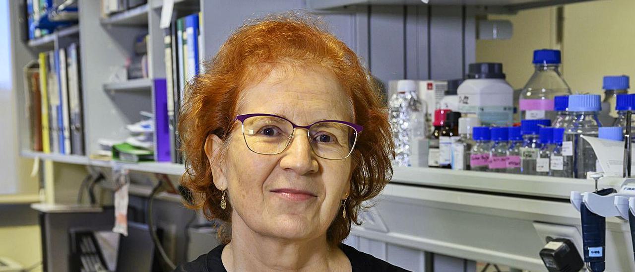 Margarita del Val en su laboratorio del Centro Superior de Investigaciones Científicas.