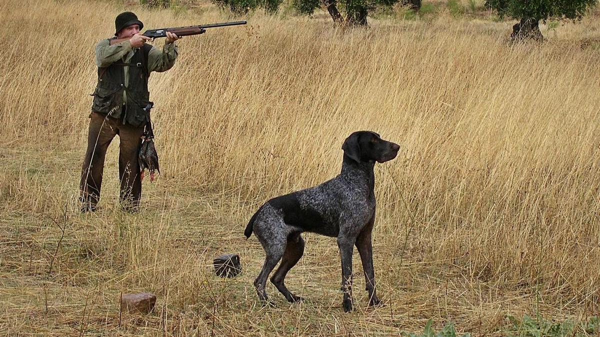 Miles de cazadores inician este fin de semana el periodo hábil de caza menor. | CÓRDOBA