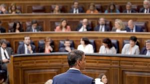 Pedro Sánchez durante la sesión de control al Gobierno en el Congreso de los Diputados.