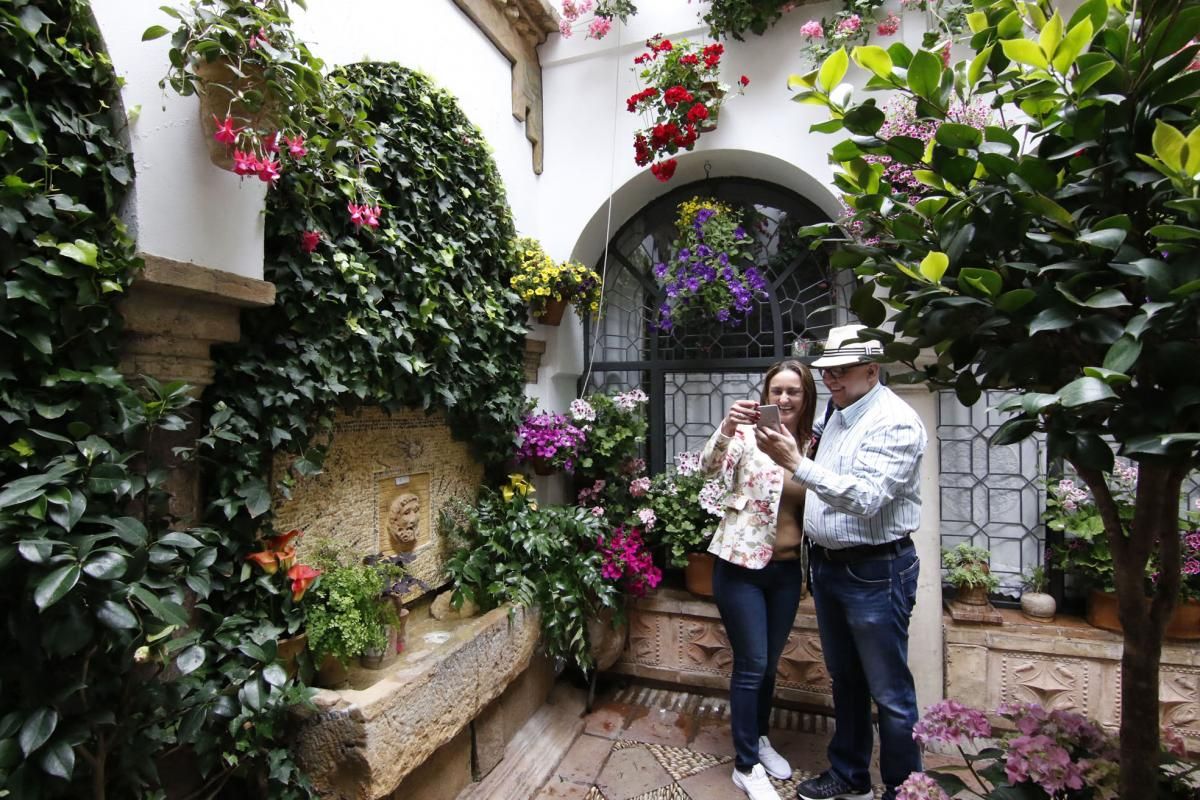 Paseando por el Alcázar Viejo