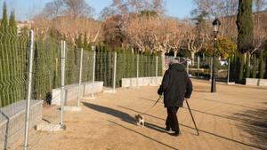 Una persona pasea a su perro en Barcelona