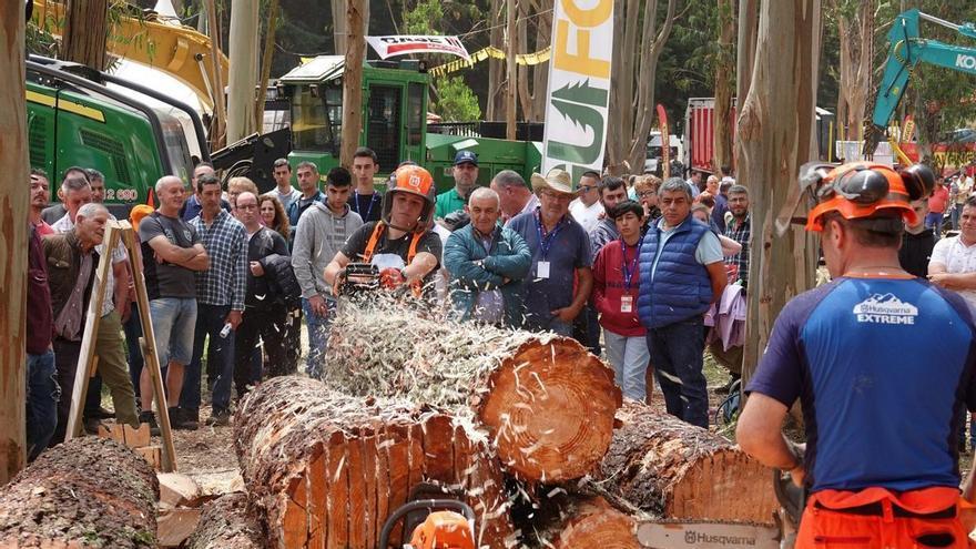 Galiforest Abanca 2026 arranca en Boqueixón con su edición más ambiciosa y cifras récord