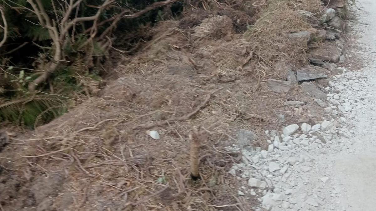 Uno de los muros, propiedad del denunciante, que resultaron derruidos.