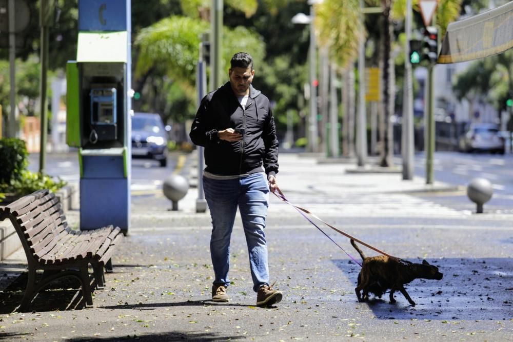 Coronavirus | Paseos por La Laguna y Santa Cruz