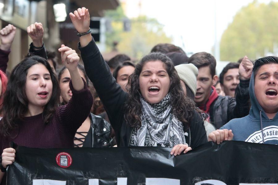 Manifestación contra la LOMCE en Zamora