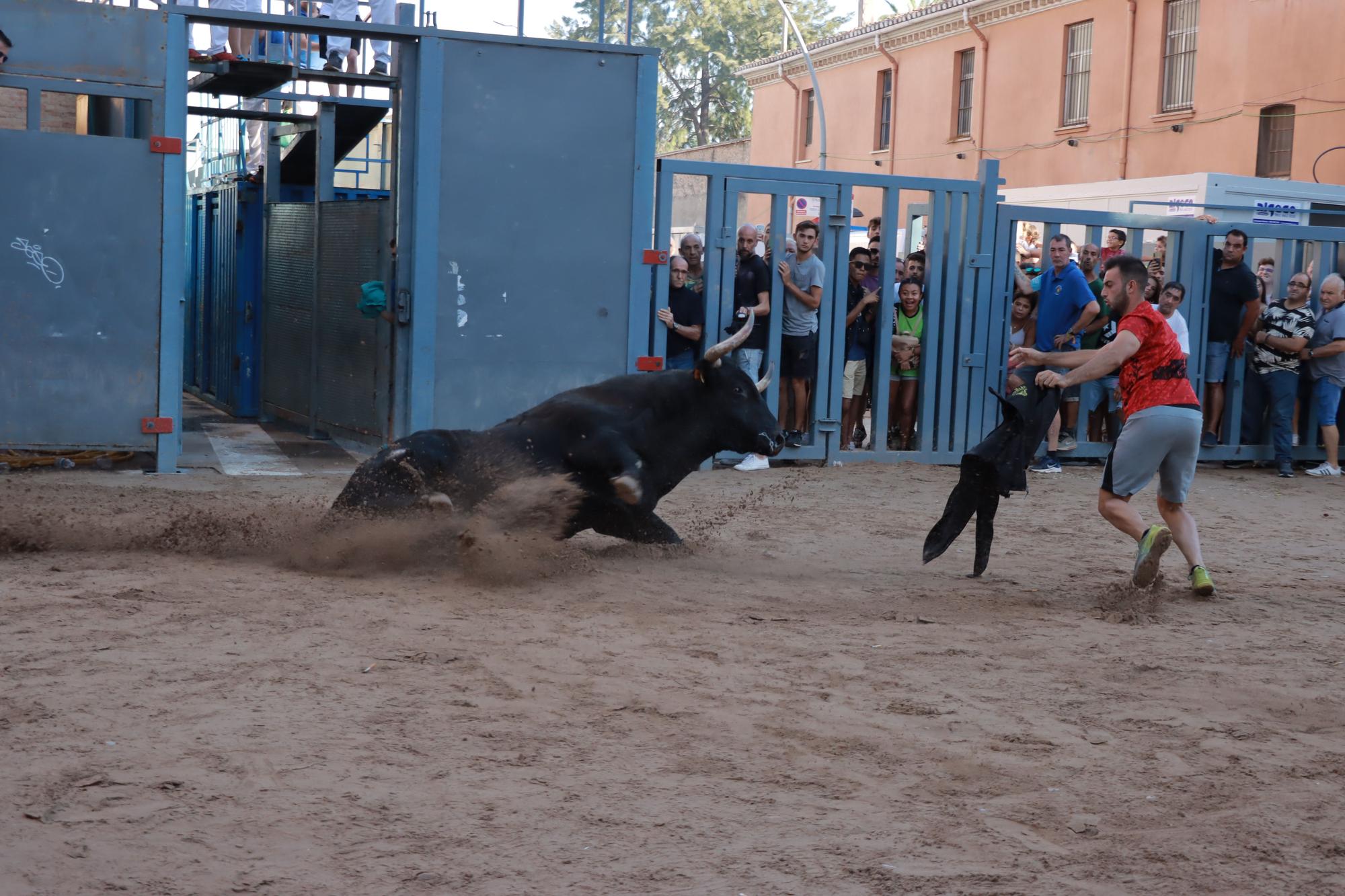 Vila-real galería bous