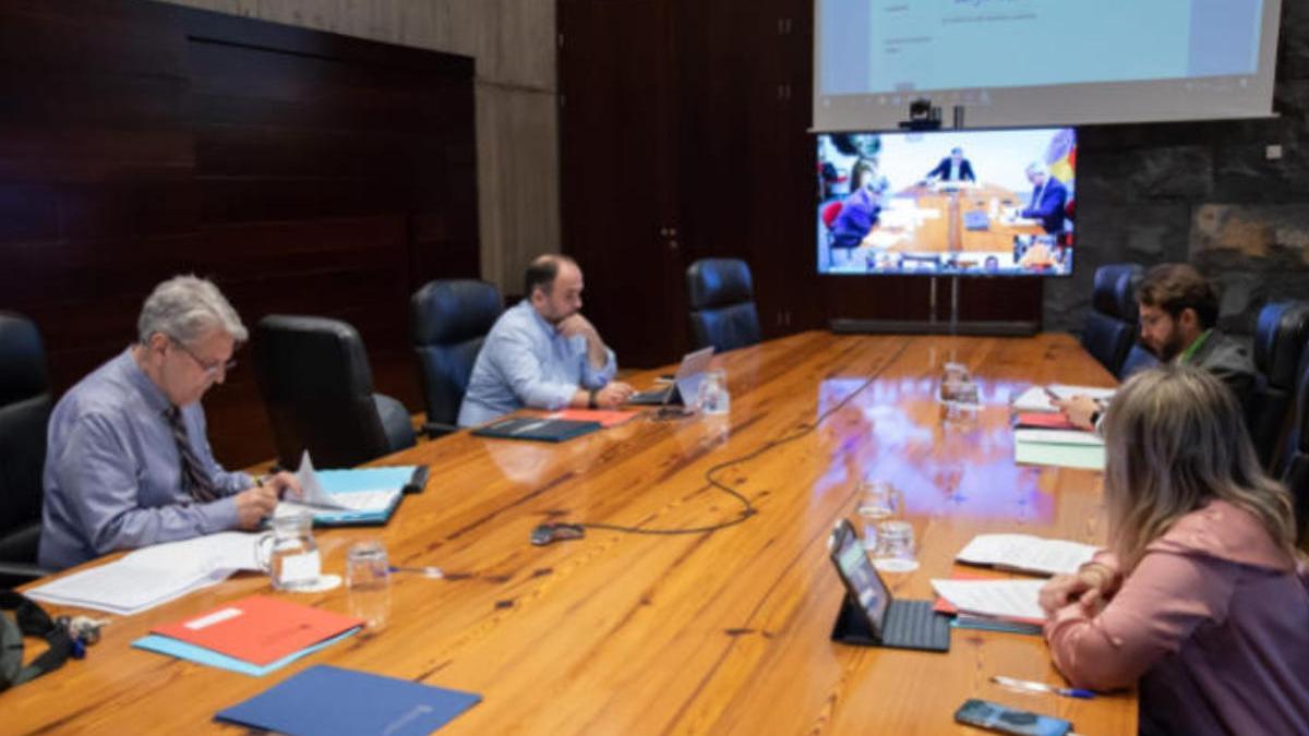 Reunión telemática del Gobierno de Canarias.