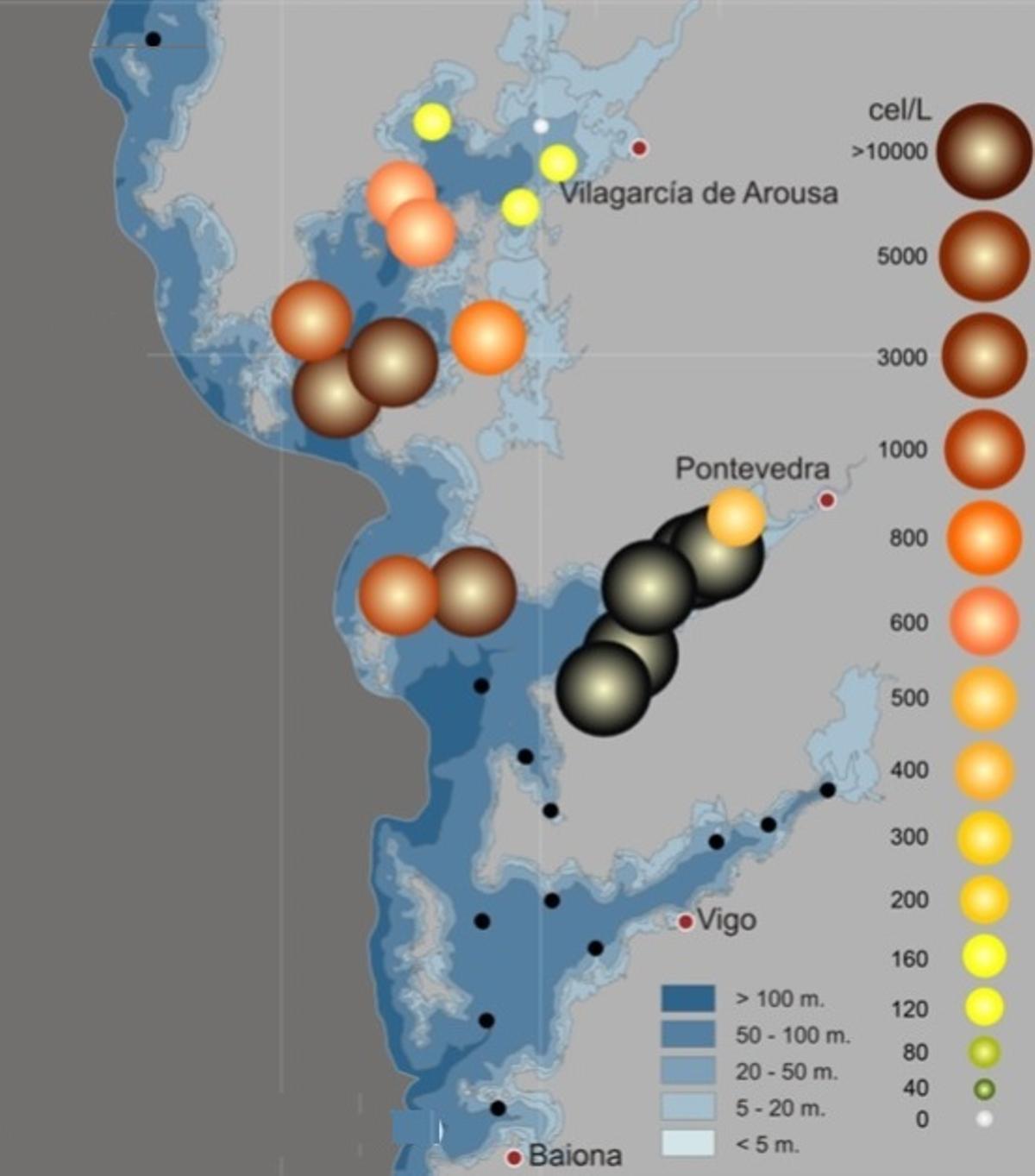 Gráfico que muestra el espectacular avance de  «Dinophysis acuta», uno de los dinoflagelados causantes de la toxina diarreica.