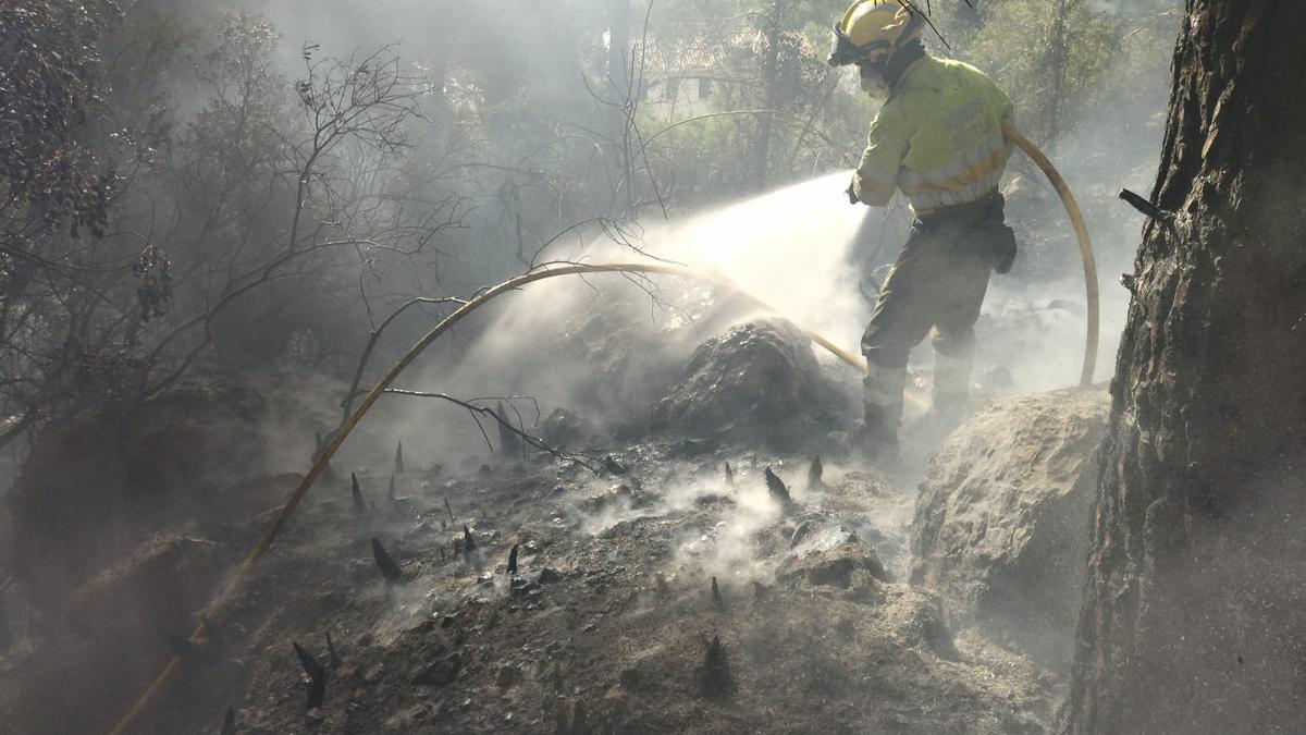 Declarado un incendio forestal en el Montgó