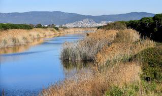 El AMB asume la gestión de las playas y dunas protegidas del Delta del Llobregat