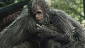 Un any en la vida dels Bigfoot