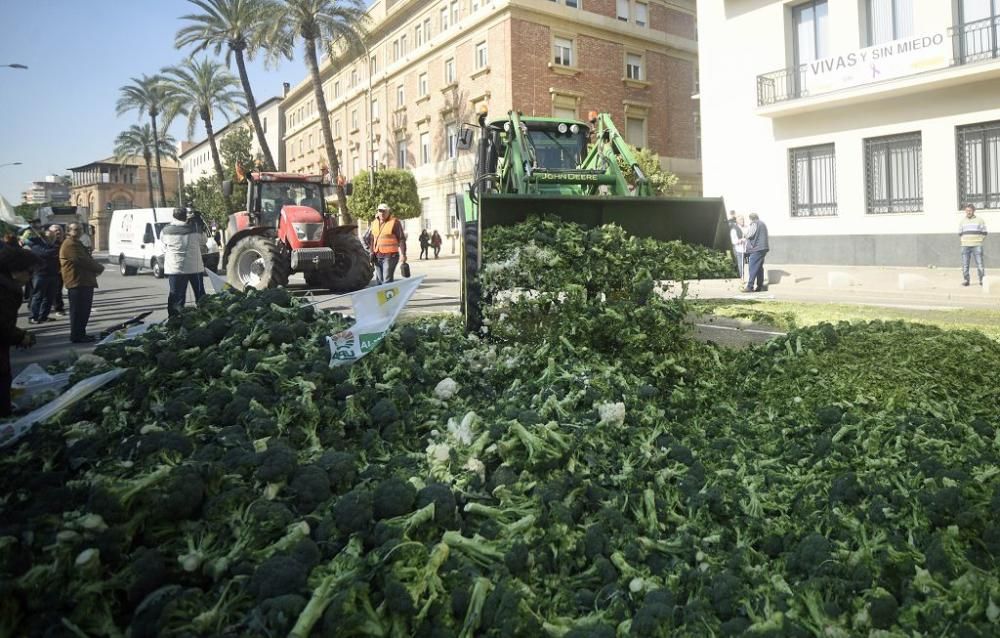 Así ha sido la manifestación de los agricultores en Murcia (II)