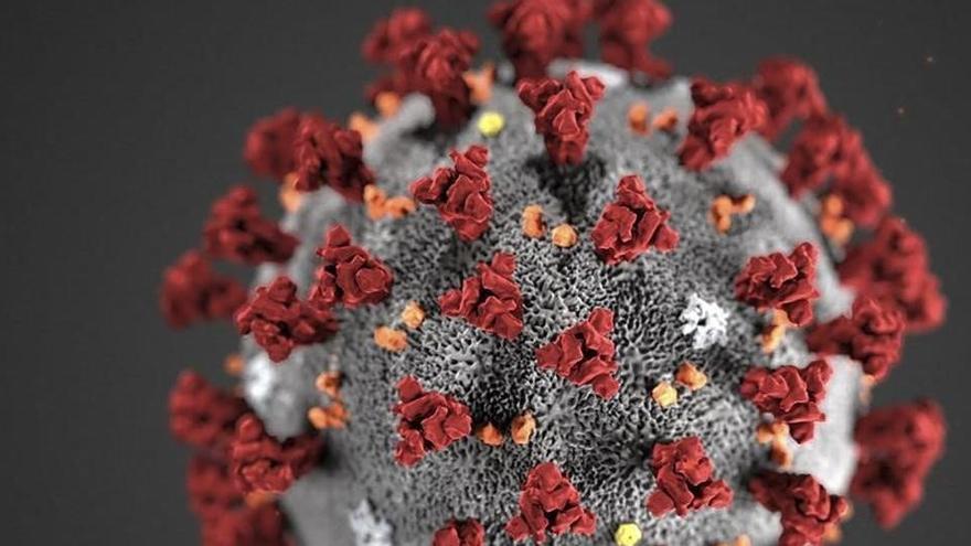 Investigadors xinesos troben coronavirus al semen de pacients