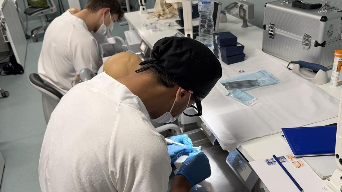 Las sesiones han acercado a los estudiantes a técnicas, materiales y procedimientos que forman parte de la práctica clínica actual