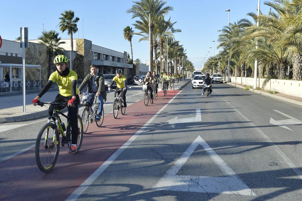 El carril bici en la avenida de la universidad