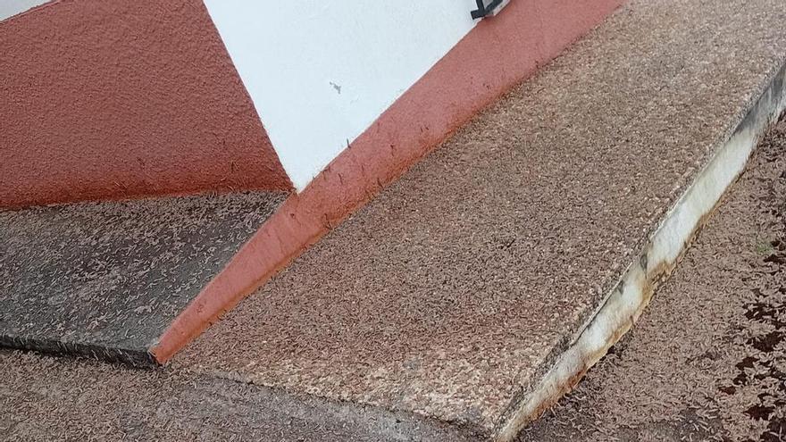 El Principado ofrece colaboración a los afectados por la plaga de gusanos de Tineo