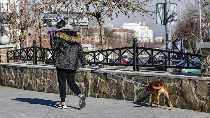 Huesca obliga a limpiar los orines de las mascotas en la calle