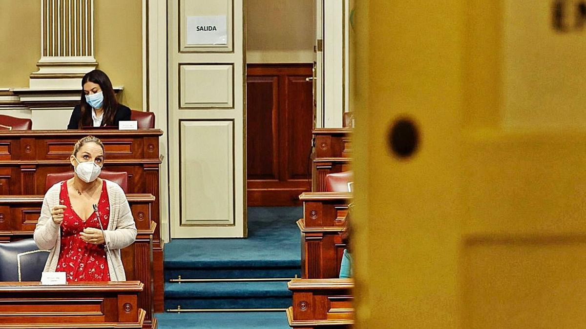 La consejera de Derechos Sociales, Noemí Santana, durante una intervención en un pleno.
