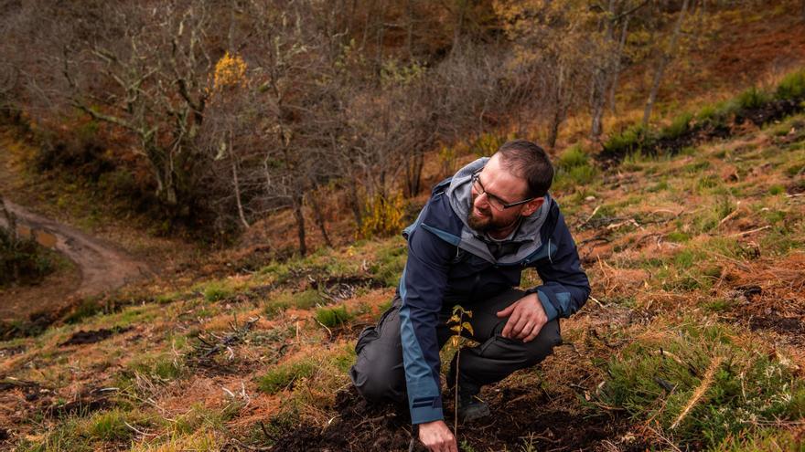 “Comprometidos con Nuestros Bosques” planta 4.950 árboles en el monte Piedrafita