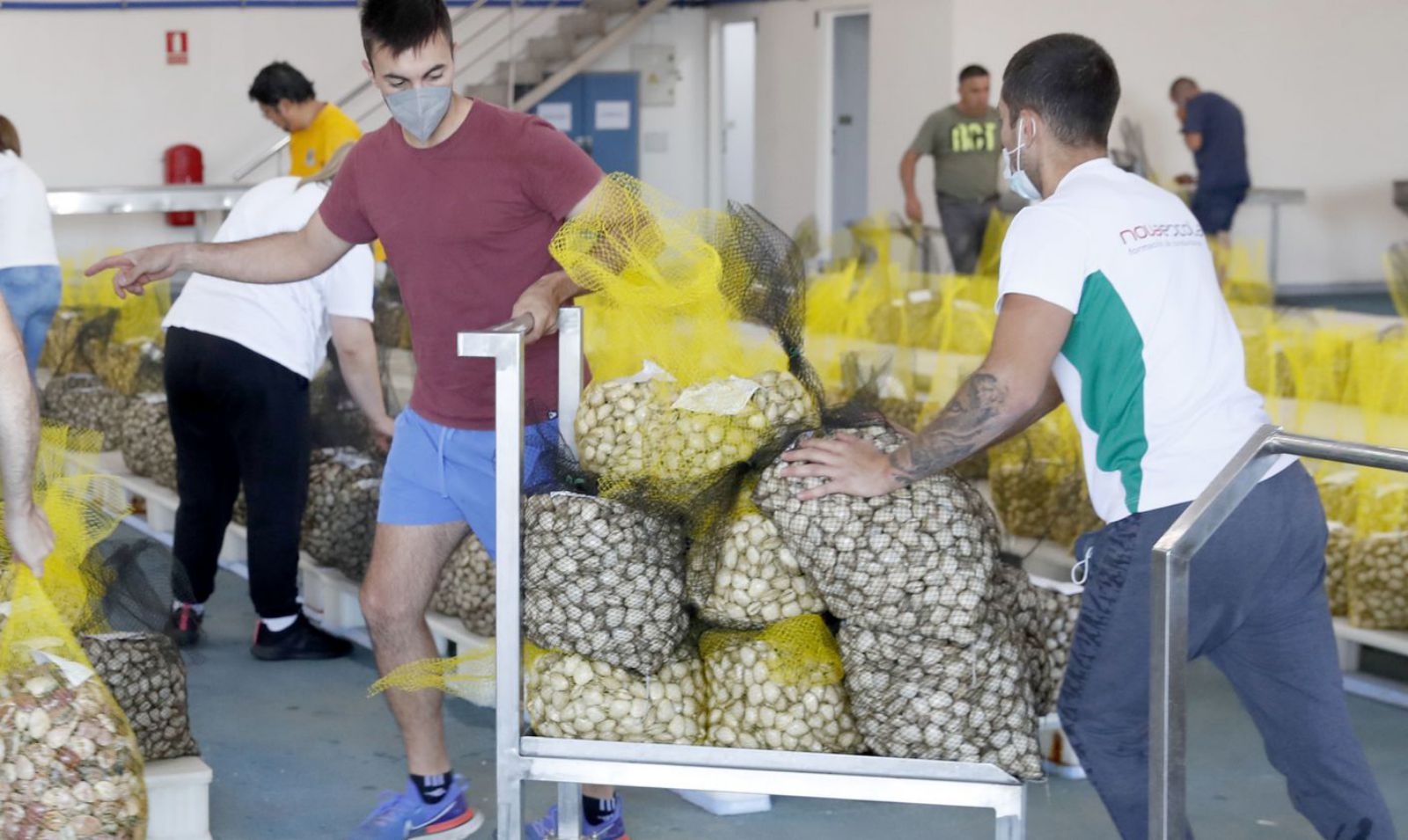 Subasta de almeja ayer en la lonja de mariscos de Vigo. | JOSÉ LORES