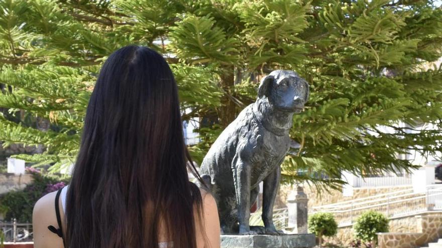 Moro, el perro de los entierros de Fernán Nuñez