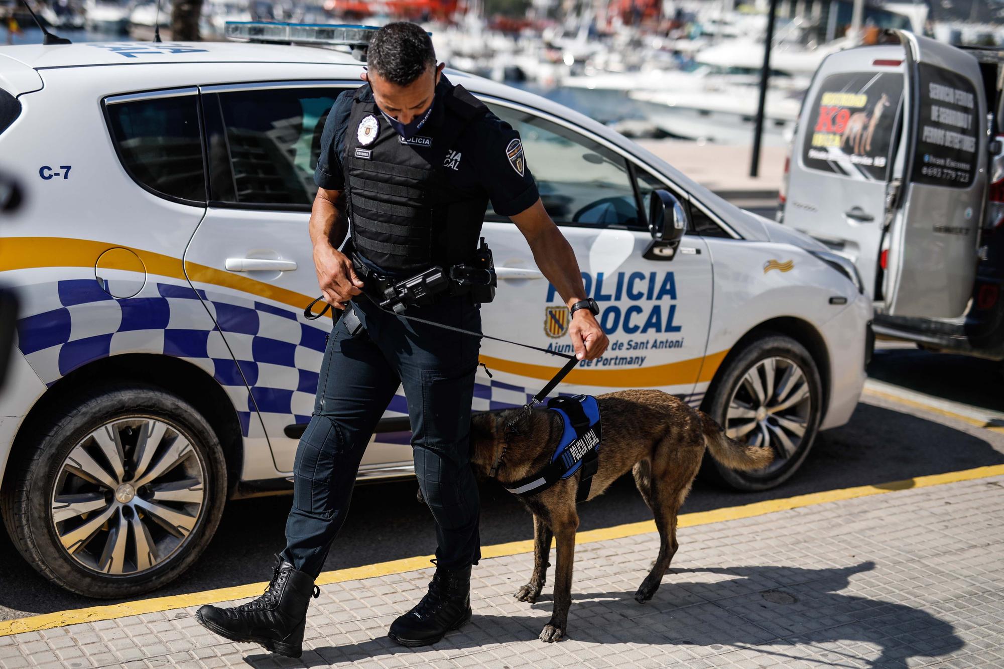 Kata y Mustang, los dos nuevos agentes caninos de Sant Antoni