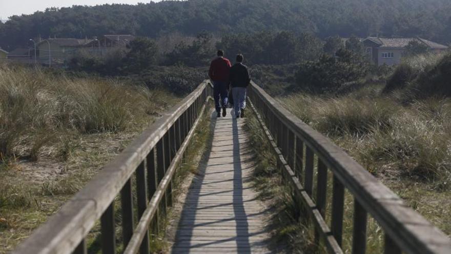 Arranca el plan para regenerar el sistema dunar de San Juan y El Espartal