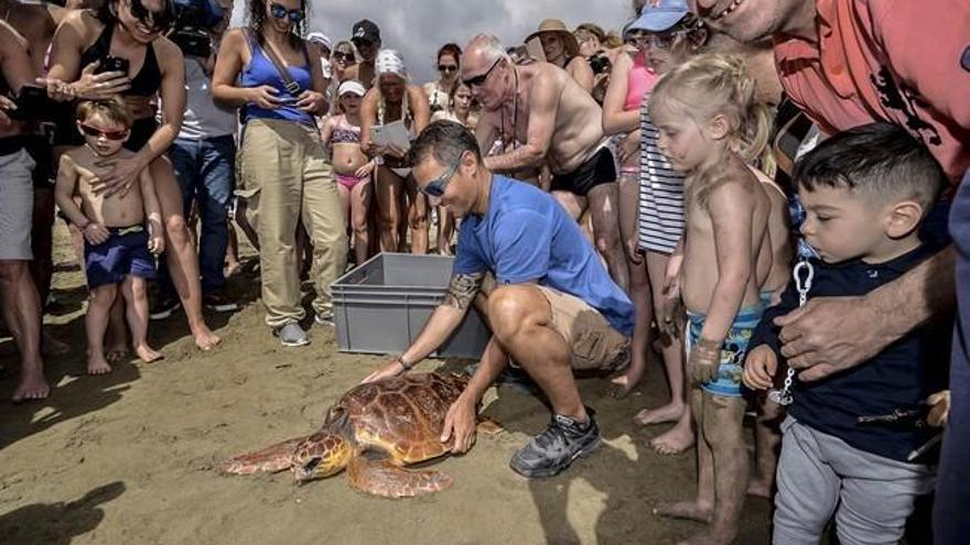 Suelta de animales en la Charca y Playa de Maspalomas