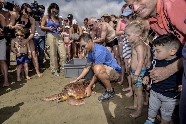 Suelta de animales en la Charca y Playa de Maspalomas