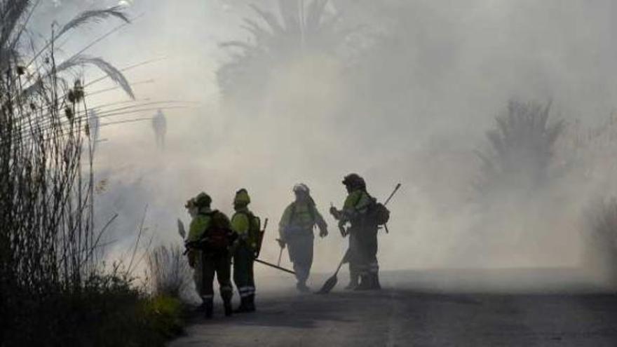 Los bomberos tuvieron que emplearse a fondo para sofocar el incendio de El Hondo.
