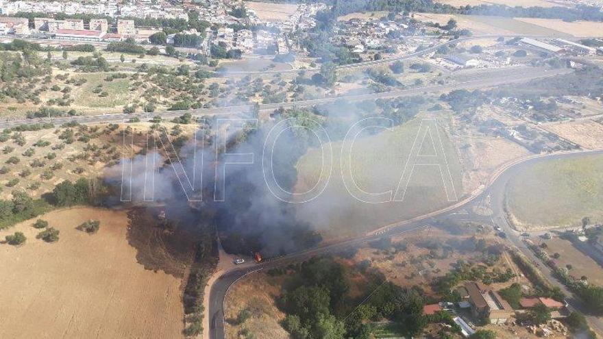 El Infoca da por controlado el incendio de pastos junto a la barriada de Alcolea