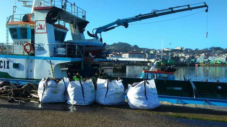 Sacos de basura retirada de la costa tras su llegada al Puerto de Marín. // S.A.