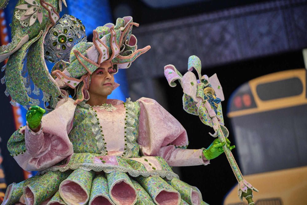 Fotos de los ganadores y de todos los participantes en el Concurso de Disfraces del Carnaval de Santa Cruz de Tenerife.  | 16/02/2020 | Fotógrafo: Andrés Gutiérrez Taberne