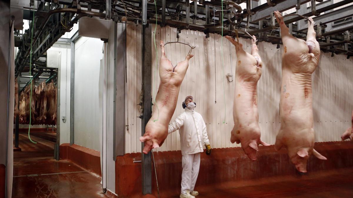 La producción de derivados del cerdo ha crecido en los últimos años en Aragón.