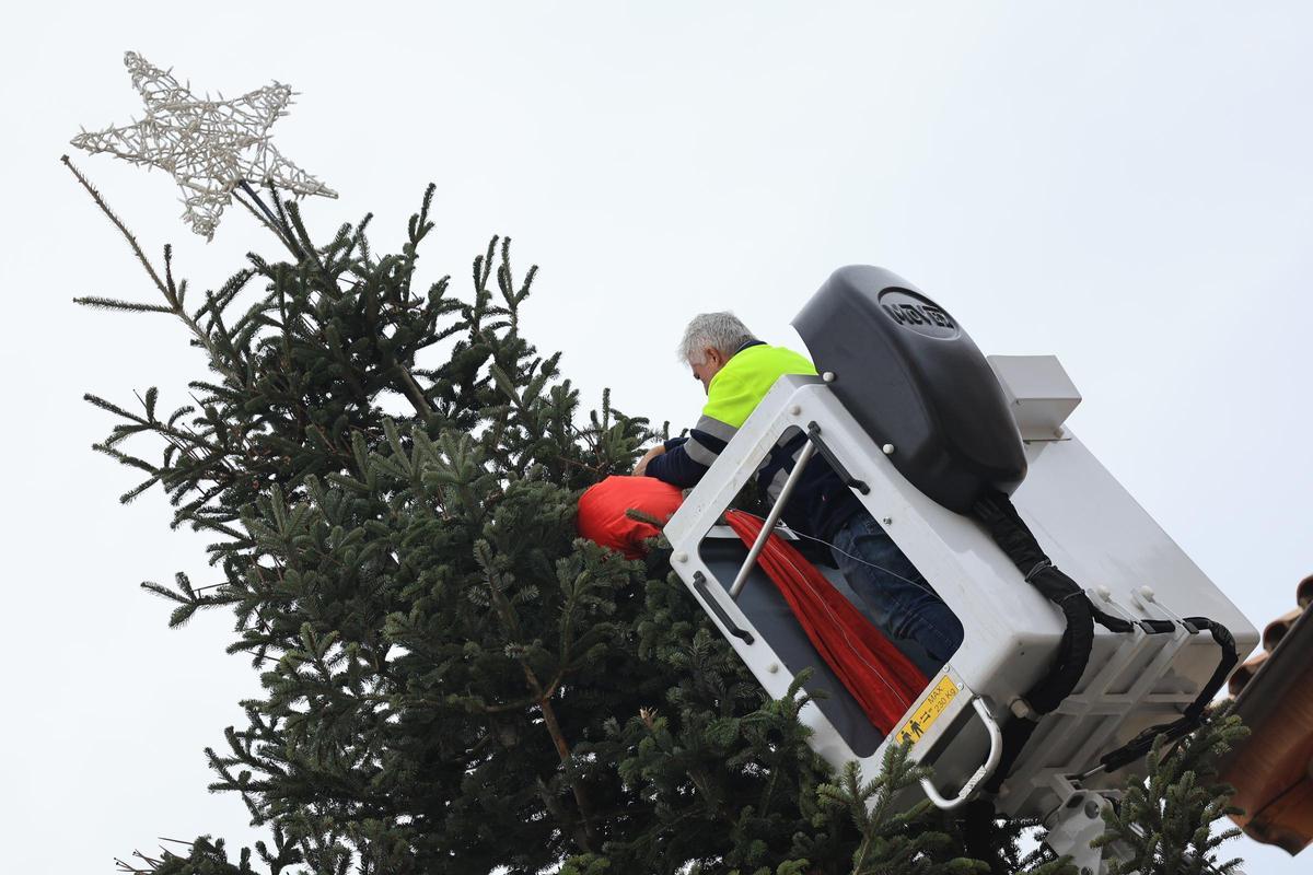 Fotogalería I Vila-real instala su árbol de Navidad más sostenible en la plaza de la Vila