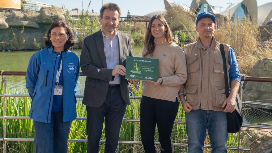 Del Oceanogràfic a l’Albufereta