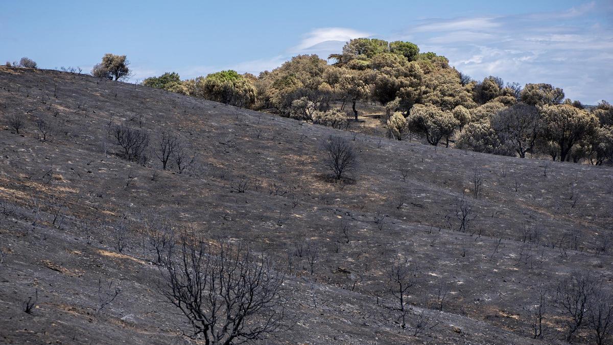Vista tras el incendio, a 4 de agosto de 2026, en Villa del Prado, Madrid (España).