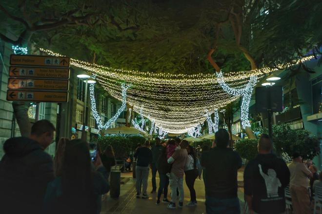 Encendido de la iluminación de Navidad en Santa Cruz