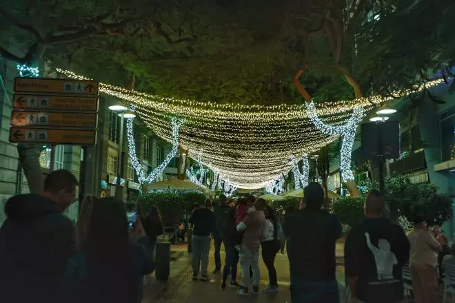 Encendido de la iluminación de Navidad en Santa Cruz