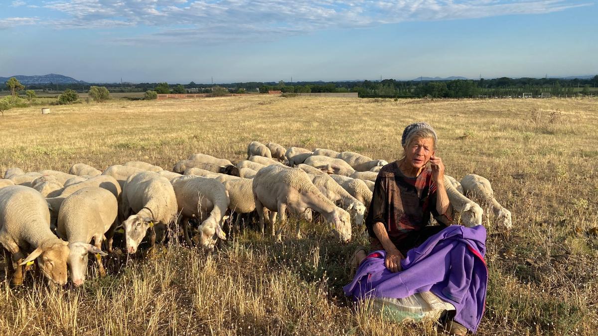 Cati, la pastora