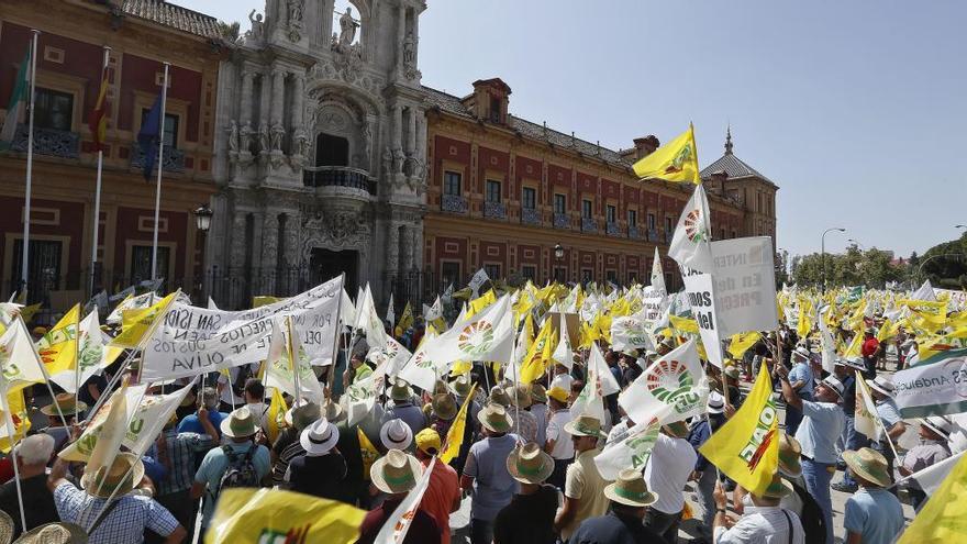 La protesta que los agricultores del olivar andaluz realizaron en Sevilla el pasado verano.