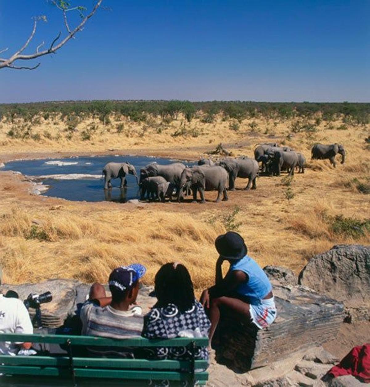 Turistas en un safari por el Parque Nacional de Etosha observan a una manada de elefantes.