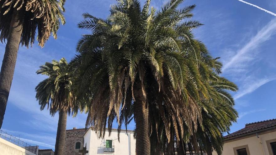 Vídeo | Cáceres es rica para comer, para alojarse y para ver patrimonio: de la Soledad a Santa Clara