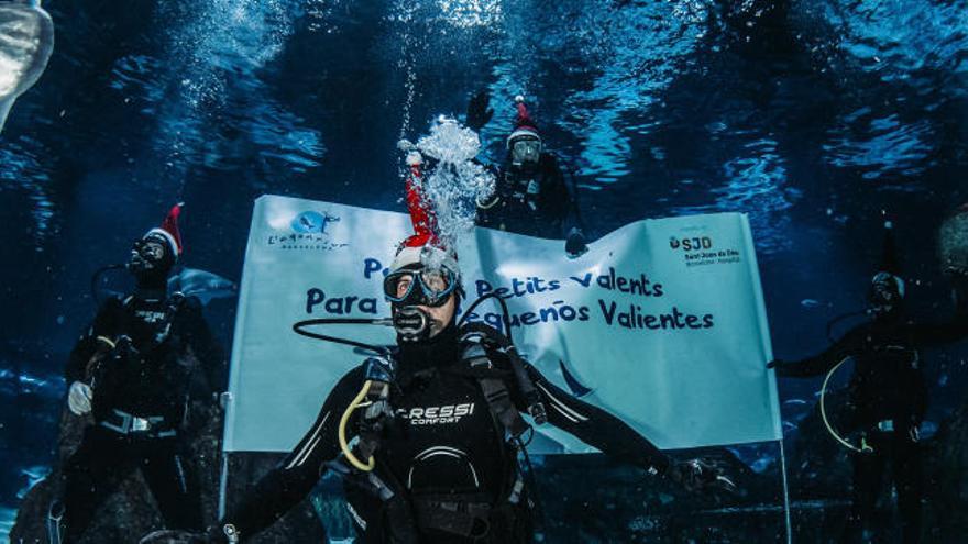 David Ferrer, en un evento solidario navideño entre tiburones